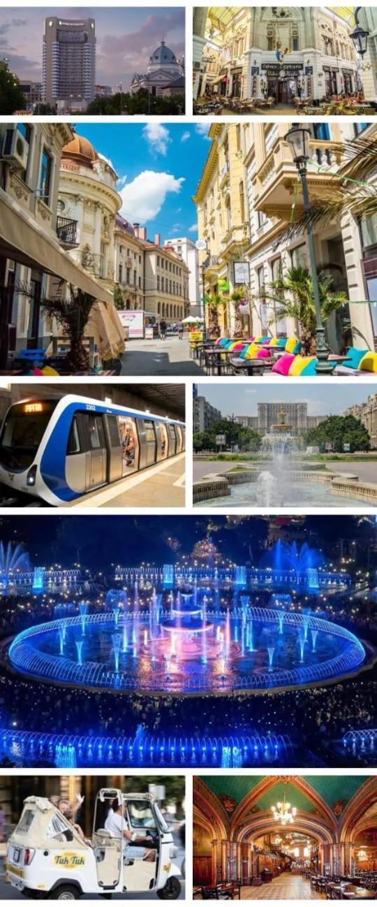 Modern Studio Park Carol Unirii - Lam1 Leilighet Bucureşti Eksteriør bilde